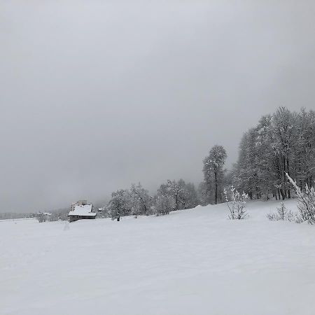 Cottage In Bakuriani Zewnętrze zdjęcie