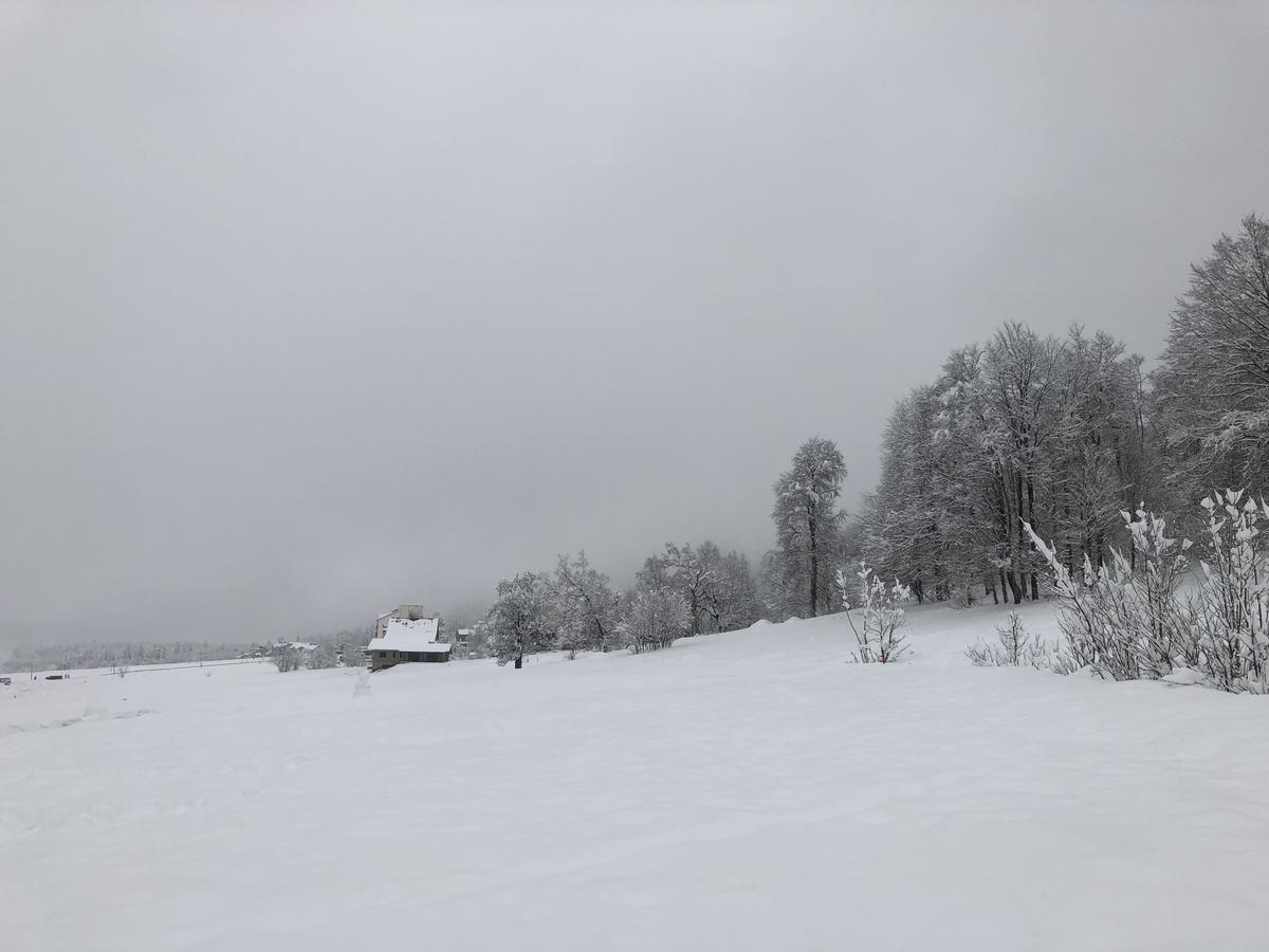 Cottage In Bakuriani Zewnętrze zdjęcie